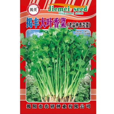 揭美20克大叶香菜种子 老品种浓香芫荽籽 阳台园艺盆栽蔬菜种子