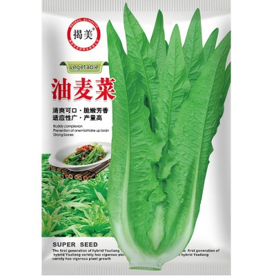 揭美尖叶油麦菜种子 香甜脆嫩油麦菜籽 阳台农业蔬菜种子2000粒装