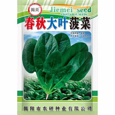 揭美25克春秋大叶菠菜种子 耐寒抗热菠菜籽 阳台田园种植蔬菜种子