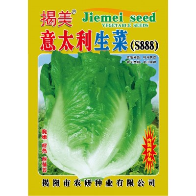 揭美意大利生菜种子 脆嫩耐抽苔生菜 阳台盆栽田园种植蔬菜籽10克