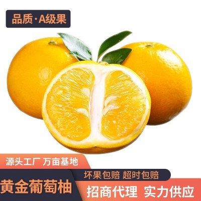 台湾黄金葡萄柚 纯甜多汁 3/5斤当季新鲜水果现货A级果非琯溪蜜柚