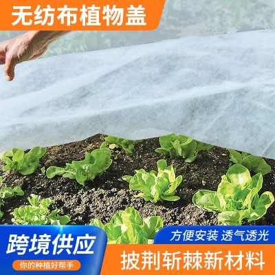 跨境供货亚马逊无纺布植物防冻盖冬季蔬菜植物覆盖布防寒毯御寒毯