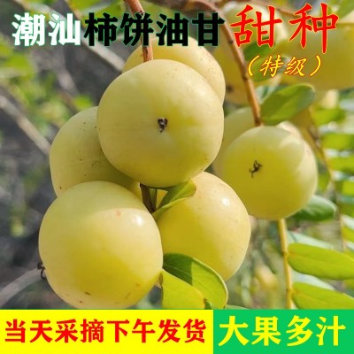 潮汕油柑王柿饼甜油甘果新果甜种油甘余甘果丙甜油柑新鲜孕妇水果