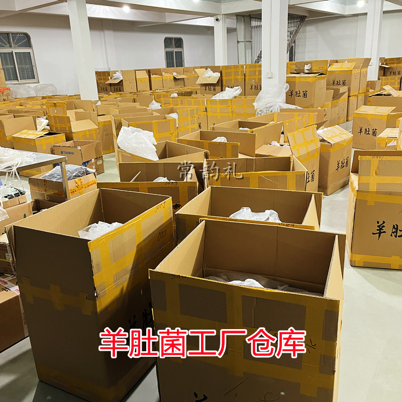 羊肚菌工厂仓库.jpg