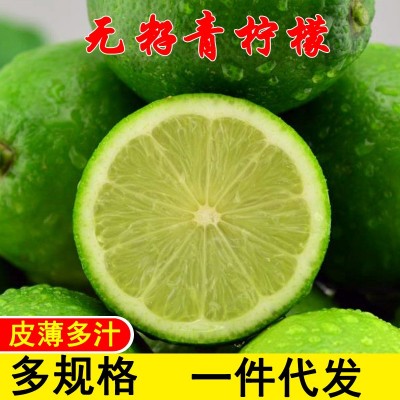 一件代发新鲜广西无籽青柠檬薄皮多汁香水小青柠5/10斤奶茶店专用