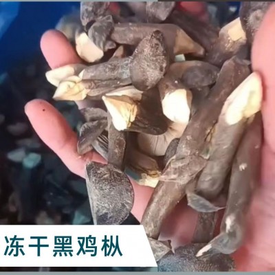 【工厂 直发】冻干黑皮鸡枞菌干货500g 云南特产鸡棕蘑菇食用菌散