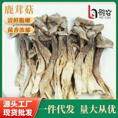 厂家批发鹿茸菇干货鹿茸菌180g无硫野生菌新鲜好菇土特产煲汤食材