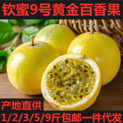 【极速发货】广西钦蜜9号黄金百香果1/2/3/5/9斤大中小果新鲜水果