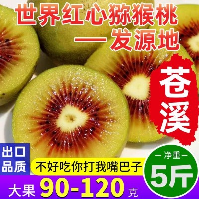 四川广元苍溪红心猕猴桃 奇异果新鲜包邮5斤10大果特大果礼盒弥泥