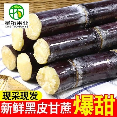 广西黑皮甘蔗新鲜9斤水果包邮应当季特产整箱水果甜柑果蔗【9斤】