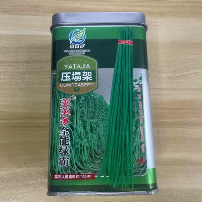 压塌架豇豆种子青条豆角长豆角种籽大全老品种高产孑豆种菜种缸豆