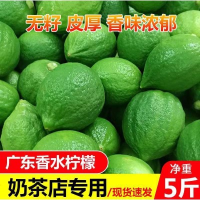 广东香水柠檬无籽一级果产地直发新鲜水果奶茶店专用整箱批发