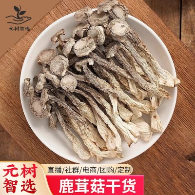 云南鹿茸菇干货鹿茸菌鹿耳菇新货无硫野生菌煲汤食材脆嫩无硫批发