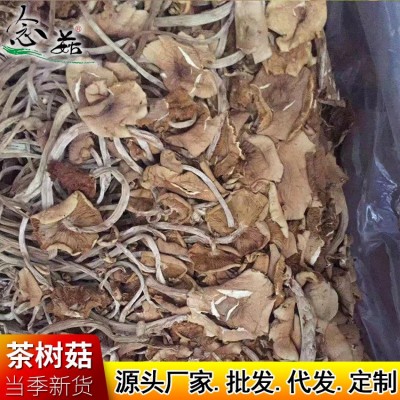 古田土特产开伞茶树菇南北农产品干货 厂家批发散装新货茶薪菇