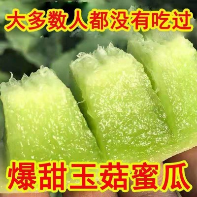 玉菇甜瓜南汇山东姑蜜瓜当季新鲜水果整箱香瓜3/5/10斤速卖通代发