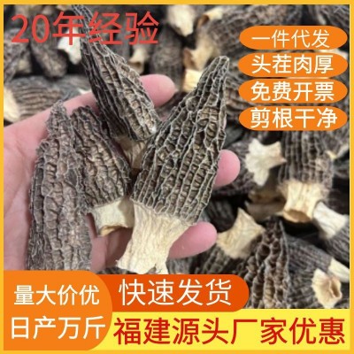 产地直销羊肚菌干货福建特产新鲜干羊肚菌肉厚羊肚菌煲汤500g袋装