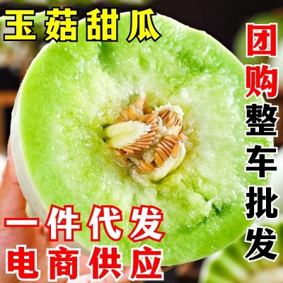 玉菇甜瓜新鲜水果 一件代发 当季正宗头茬冰淇淋蜜瓜香瓜 整箱密瓜