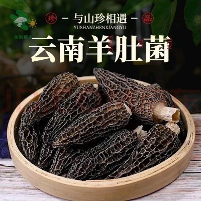 Zqv头茬5-7羊肚菌特级干货批发高山特产天然食用菌滋补养生煲汤