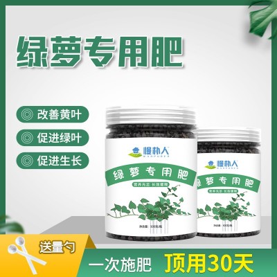 绿萝专用肥肥料花肥有机肥开花生根缓释颗粒肥花卉绿植物营养肥料