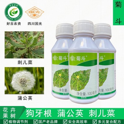 国光菊斗除草剂恶阔净百慕大马尼拉狗牙根黑麦草早熟禾50瓶/箱