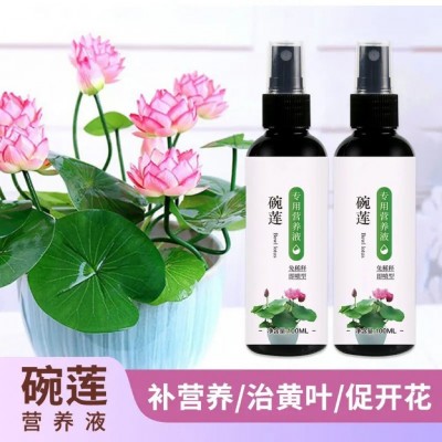 碗莲专用营养液水培水溶肥通用种子发芽生根促开花防黄叶睡莲肥料