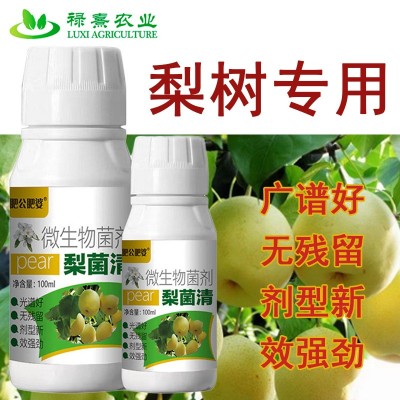 梨树病菌清梨树专用微生物菌剂炭疽黑斑夜斑疫病烂果菌肥