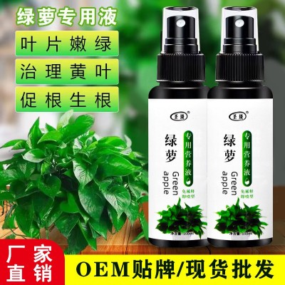 绿萝专用营养液促开花防黄叶有机肥不烧苗家用盆栽植物通用液体肥