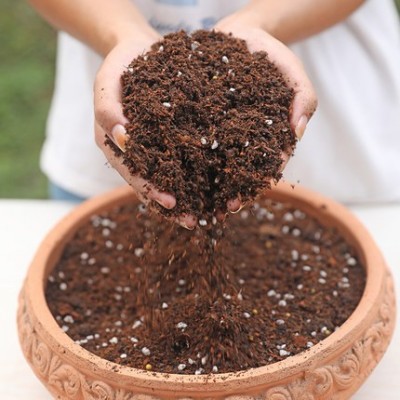 营养土养花土壤种植土种菜种花盆栽家用肥料多肉有机腐殖土