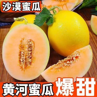 爆甜正宗甘肃民勤黄河蜜瓜红肉甜瓜新鲜当季水果沙漠冰糖哈密瓜