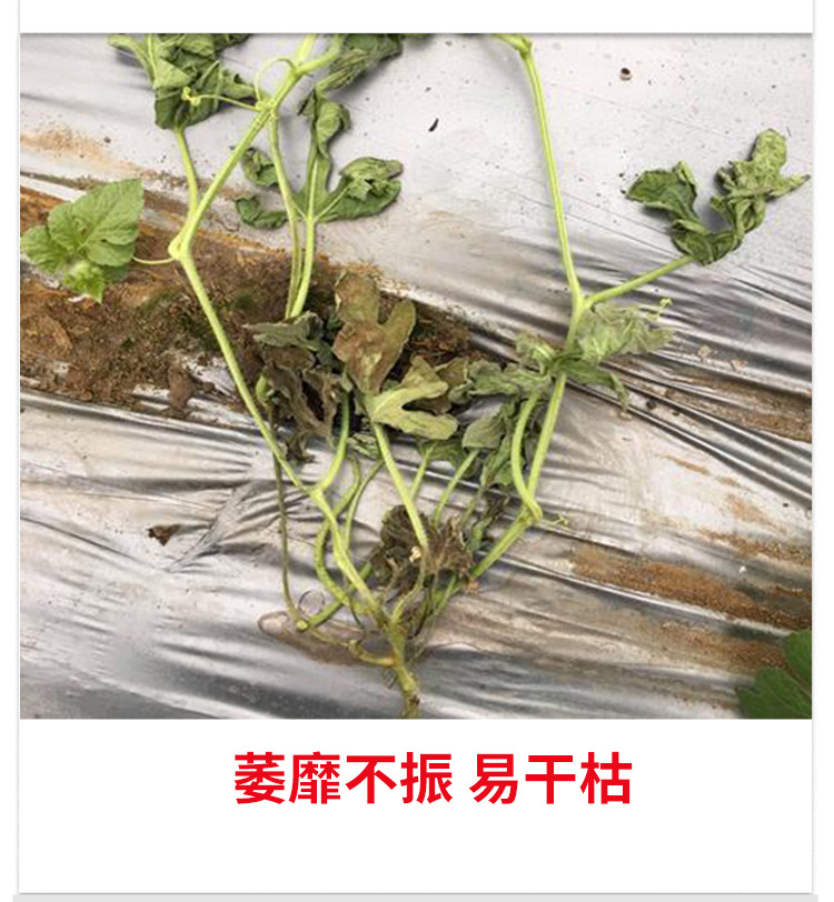 矿源黄腐酸钾_07.jpg