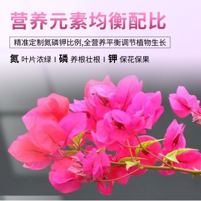 批发园艺绿植花卉有机肥缓释肥室内阳台通用型颗粒肥一件代发包邮