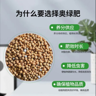 奥绿肥A2通用型多肉植物缓释肥家用月季花肥料花多多促花水溶肥