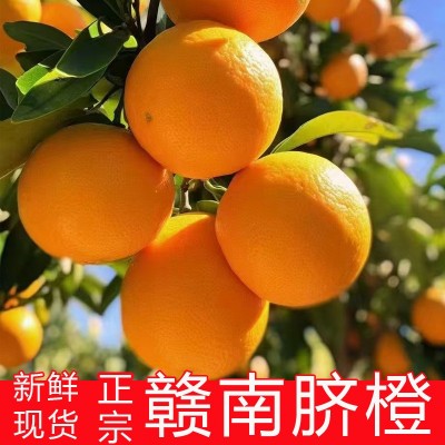 【产地直播发货】正宗赣南脐橙应季新鲜橙子水果10斤整箱批发价