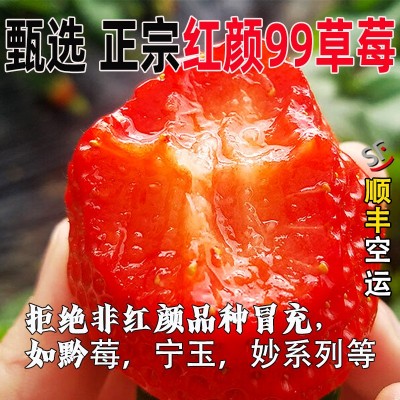 云南草莓新鲜红颜99草莓孕妇应季水果奶油草莓大果顺丰包邮