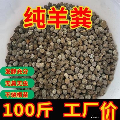 10-100斤羊粪发酵有机肥盆栽肥料种菜肥花卉蔬菜农家纯羊粪蛋