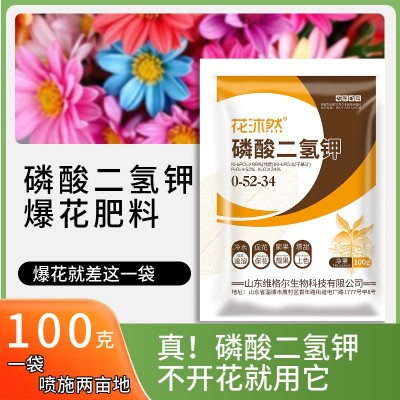 磷酸二氢钾100g 叶面肥 园艺肥料 开花肥料 磷钾二元复合肥